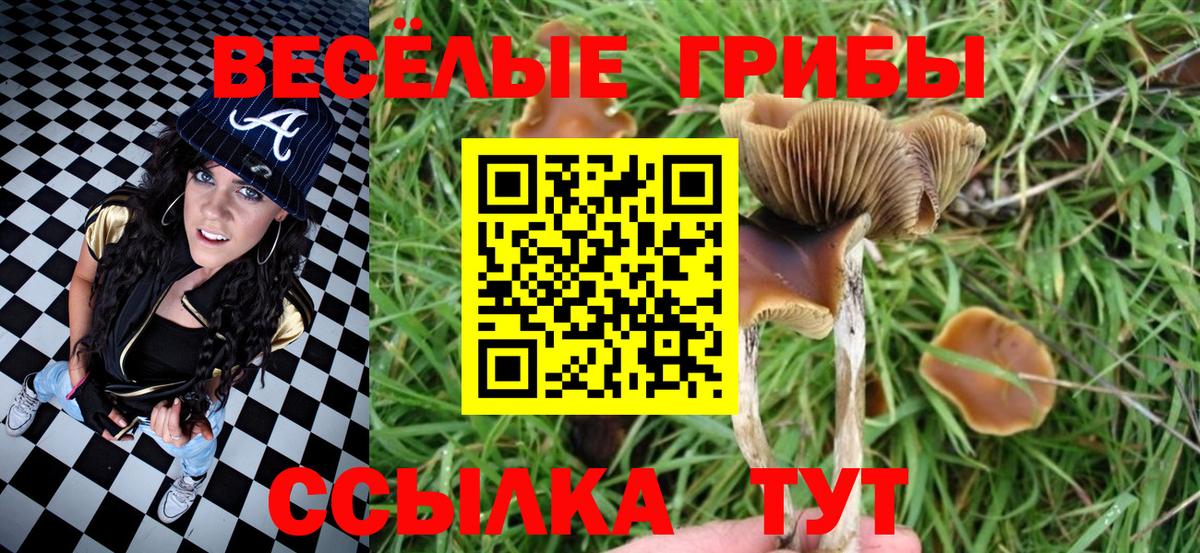 Псилоцибиновые грибы MAGIC MUSHROOMS  Вход с VPN  Минеральные Воды 