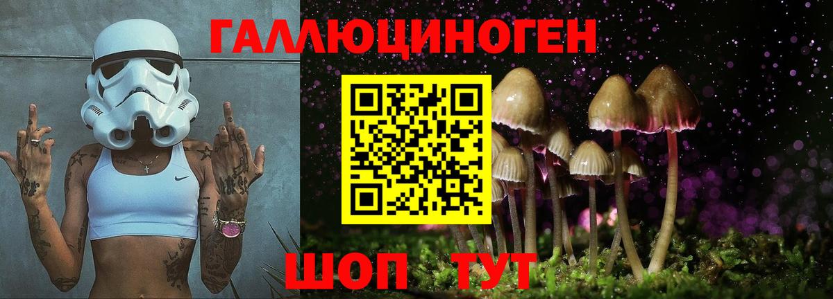 Галлюциногенные грибы прущие грибы Минеральные Воды