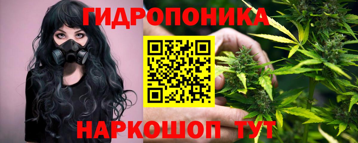 Марихуана план Минеральные Воды